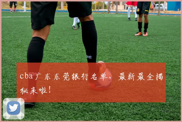 cba广东东莞银行名单，最新最全揭秘来啦！