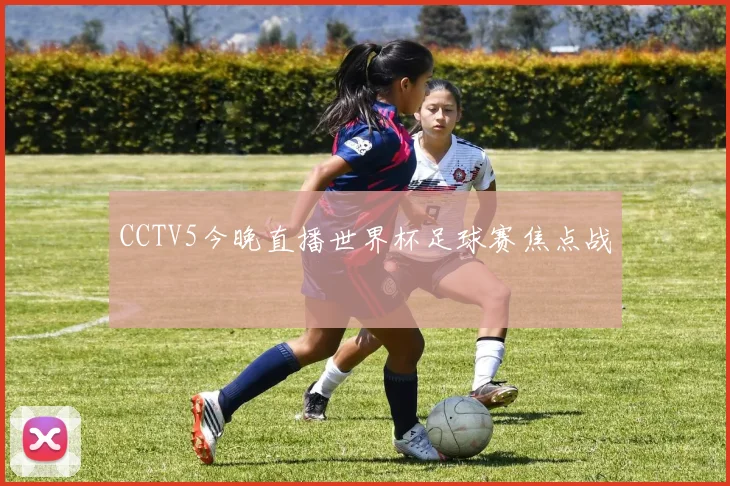 CCTV5今晚直播世界杯足球赛焦点战
