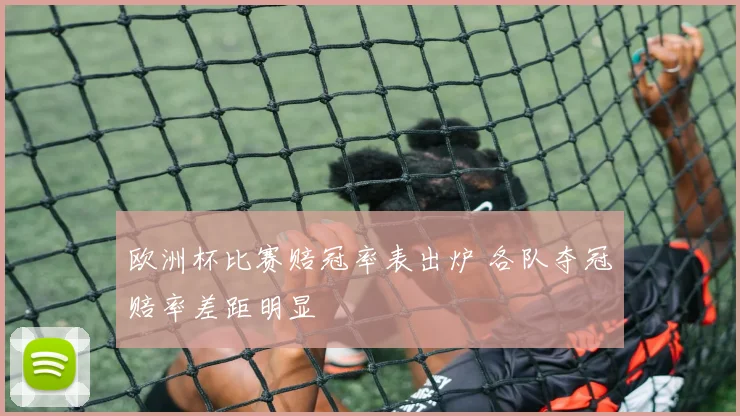 欧洲杯比赛赔冠率表出炉 各队夺冠赔率差距明显